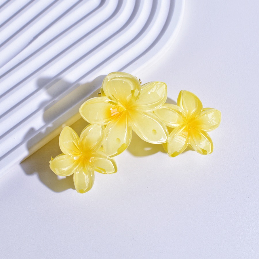 86g Weight Hair Clip, Hair Claws Hair Accessories Type 1 Piece Quantity Holiday, Daily, Selfie Occasion Plastic Material Flower, Fish, Shark, Plumeria Pattern All Seasons Season Women's Gender Cute Style Cute Women's Flower Fish Shark Plastic Hair Clip Hair Claws 21