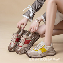 ^ţƤЬŮ͹Lٴ\eЬܛײ_ƴɫrŮЬ