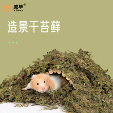 ��Ȼ���݉|�ς}���J���u�����b���Ʒ��z����B��\���쾰��̦�\