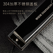 口琴正品28孔重音c调成人专业演奏级24孔复音初学者入门口琴