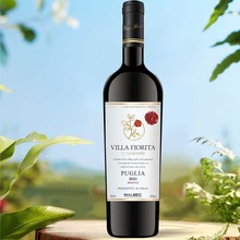 澳洲进口红酒葡萄酒水饮料批发厂家代发整箱代理干红西拉