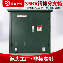 10KV-35KV户外高压电缆分支箱DFW一二三铜排型分接箱对接不锈钢