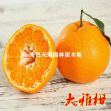 ���Ÿ̘���ͥԺ�������Ә��ļ��̨���Ԏ����޽��箔��Y��������
