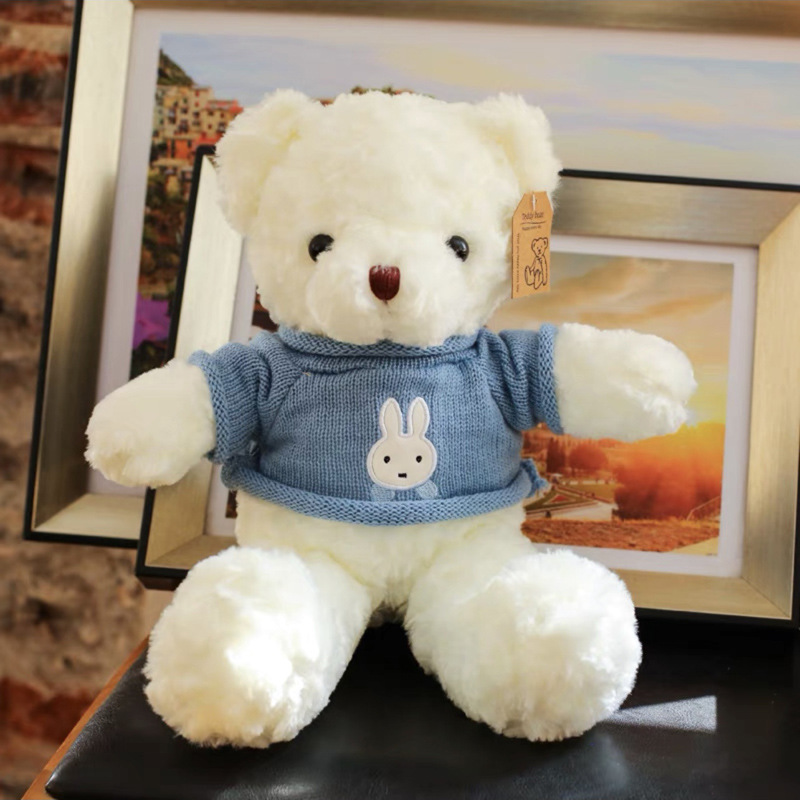 Oso de peluche Osito Muñeca Muñeca Muñeca de trapo Juguete de peluche Día del niño Día de San Valentín chino Regalo de cumpleaños femenino