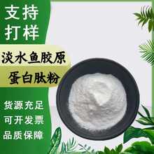 淡水鱼胶原蛋白肽99%淡水鱼提取物食品级原料小分子活性肽粉现货