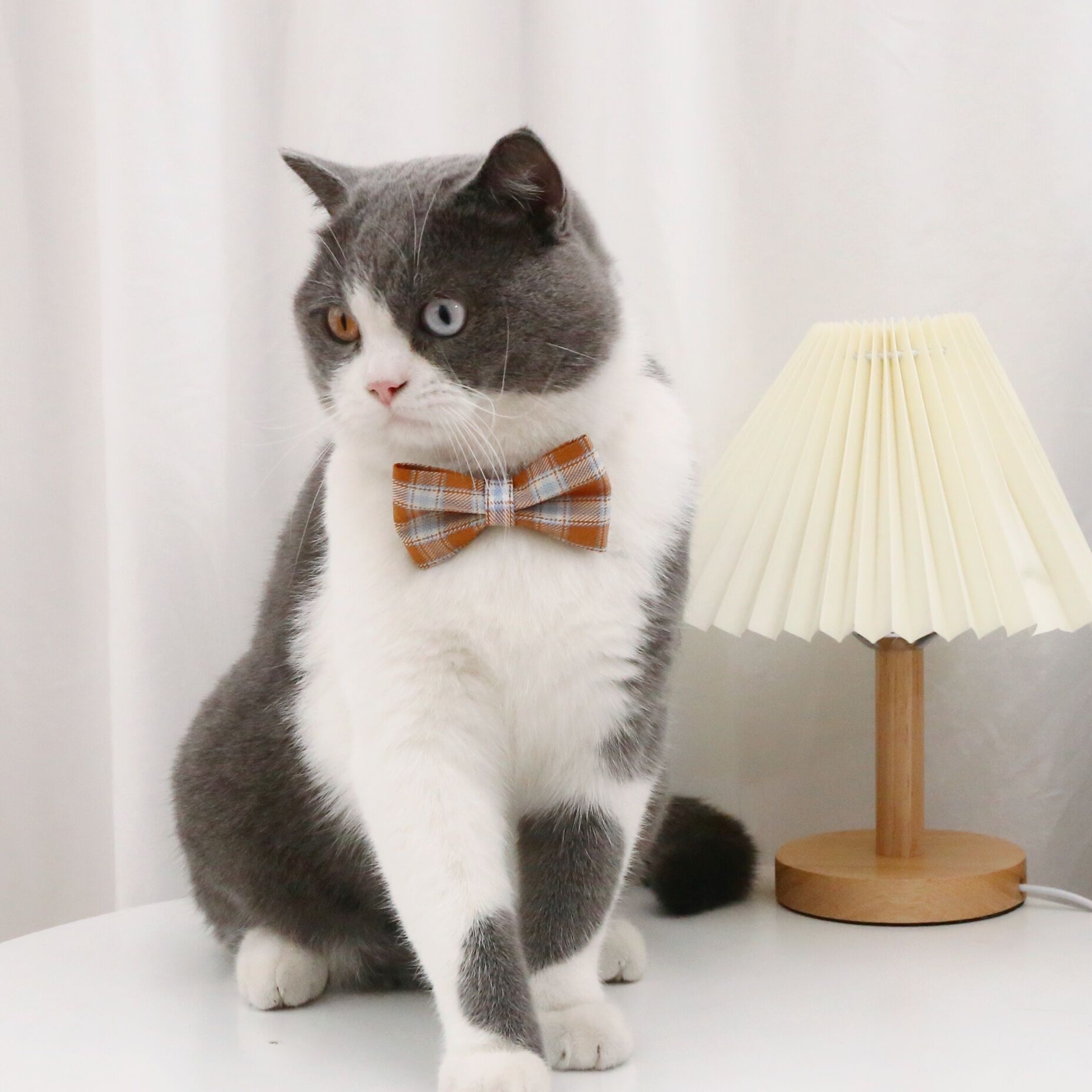Pet Plaid English style bow tie collar anti-asfixia gato perro ajustable caballero bow collar
