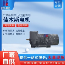 佳木斯电机YFB系列高压粉尘防爆三相异步电动机（H355-H 560）