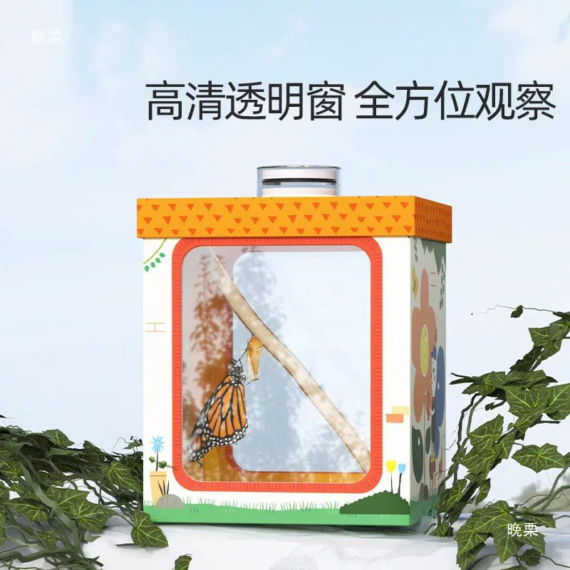 Детский наблюдательный бокс для chrysanthemum бабочки с хоронением?
