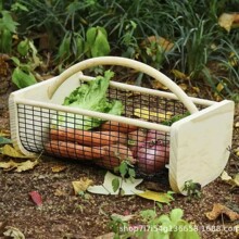 �Fˇ�Y���ռ{��Ҿ��s���������N���߲�ˮ���ռ{�@�߲˿�ˮ����