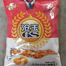 玉米杂交种 沧玉6S  粮食蔬菜种子批发