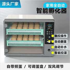 跨境全自动智能孵化器养殖场孵化箱小鸡鸭鹅鸽子鹦鹉孵化器孵蛋器