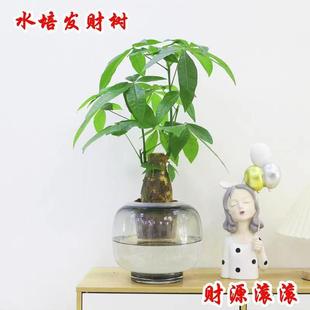 �lؔ�������҃�ˮ��ֲ��͏d����С�����辰��ؔ�����՚���B����