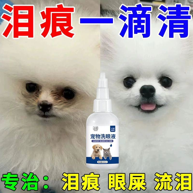 [Один кусок волос] Собака очищает слезы