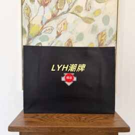 迪桑T纸袋 DESCET专柜黑色购物袋原装正品冲锋衣鞋服包装袋批发