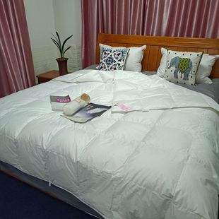 Manufacturer Wholesale Home Textiles Hotel Civilian down Quilt Quilt Core 95% Large White Goose down Pure Cotton Summer Cool Air-Conditioned Thin Quilt