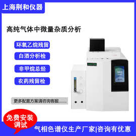 荆和 G60氦离子检测器PDHID气相色谱仪高纯气体中微量杂质分析