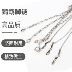 Parrot foot loop, foot chain, magpie, eight brother, little Xuan phoenix, peony, gray parrot, stainless steel buckle, bird chain, stand