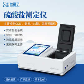 硫酸盐测定仪水质硫酸根含量分析仪智能水中硫酸盐浓度检测仪