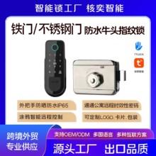 跨境防水涂鸦APP指纹锁防盗门刷卡牛头锁 木门密码锁公寓智能门锁