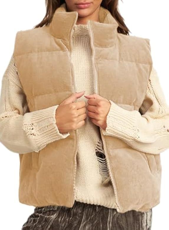 Fábrica de Amazon 2024 otoño y invierno de mujeres nuevo chaleco de algodón de meandruño chaleco de calor grueso image 8