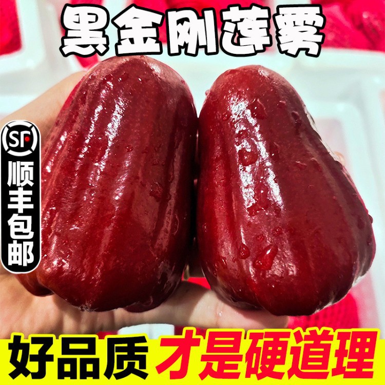 顺丰海南黑金刚莲雾正宗莲雾果当应季新鲜现摘热带水果雾莲果整箱