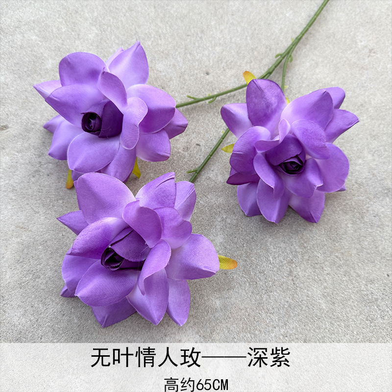 Amantes sin hojas, Violet