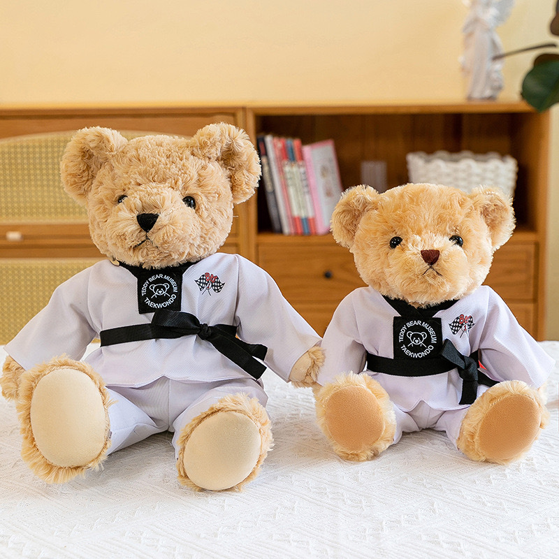 Taekwondo Teddy Bear Teddy Teddy