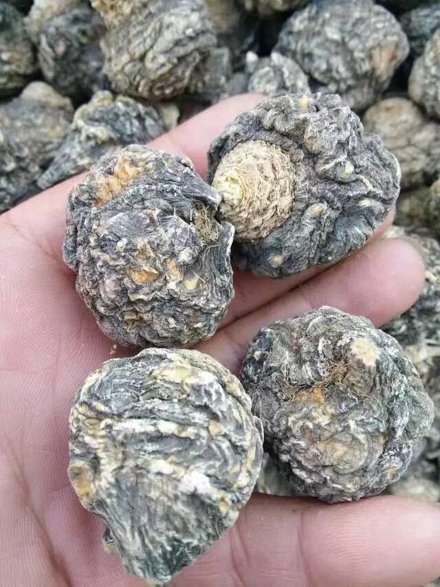 微信图片_20210913093548