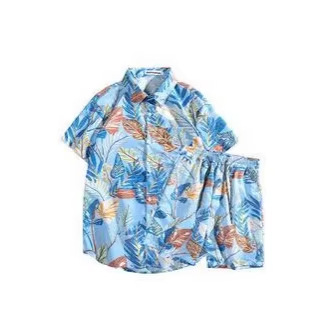 Men's Hawaiian Print Shirt And Shorts Set, Lightweight Breathable Linen Blend Beach Vacation Outfit, Casual Short Sleeve Button Down Shirt_viptrois.com