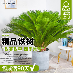 �F�������҃���͏d�ļ������ͺ����辰�F��ͥԺ�e�����̾G������
