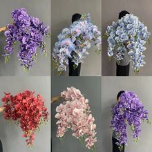 ��������m9�^��Ʒ�|�������ߵ��·����Y�þƵ겼��Ī�λ��@�L