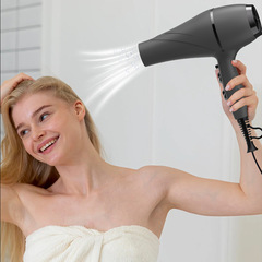 Factory Wholesale Negative Ion Hair Dryer Salon Use Styling Blow Dryer High Wind Power High Power Hair Salon Hair Dryer