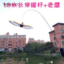 2026늄��w�����w���е��w�B���������B�l��l�W�^��ͯ�������