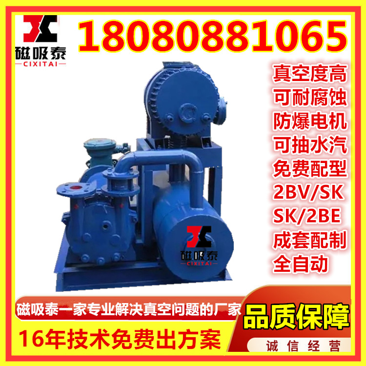 JZJBE1200-221罗茨水环真空机组真空蒸馏真空泵罗茨真空真空设备