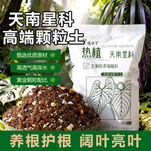 �걳��Ӫ��������ͨ��ר����ֲ�������ǿ���ֲ����԰��������ֲ��