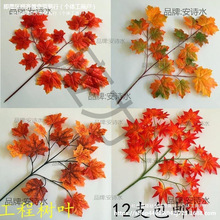 ��ͩ�~�~�Ӽ٘��~�����bGֲ�����~�^�z�����＾�t�y���~���~