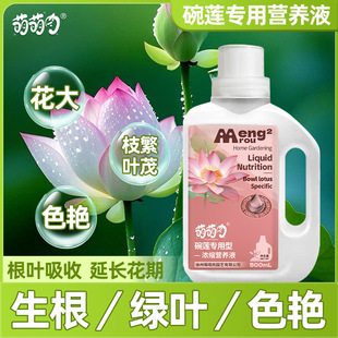��ɏ���àI�BҺ���S�~�����̨��׃ɏ���ظ�ϵ���g���_�������÷�