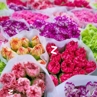 Yunnan Carnation Flower Bouquet Base Direct Delivery Fresh Cut Flowers Hydroponic Perfume Flower Arrangement Lily Mother's Birthday Gift
