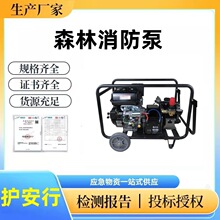 �o����-ɭ�֜��߉�ɭ��������75��/���R������Ĥ������