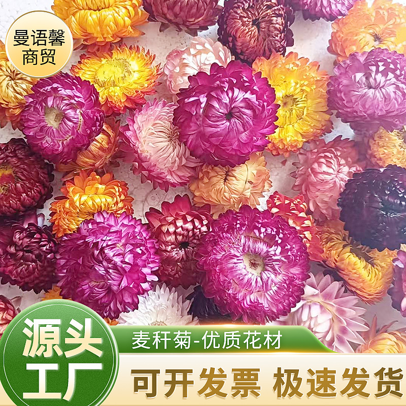 Straw Chrysanthemum Colorful Chrysanthemum Daisy Dried Flower Tea Shooting Props Living Room Home Decoration DIY Handmade Sticky Flowers