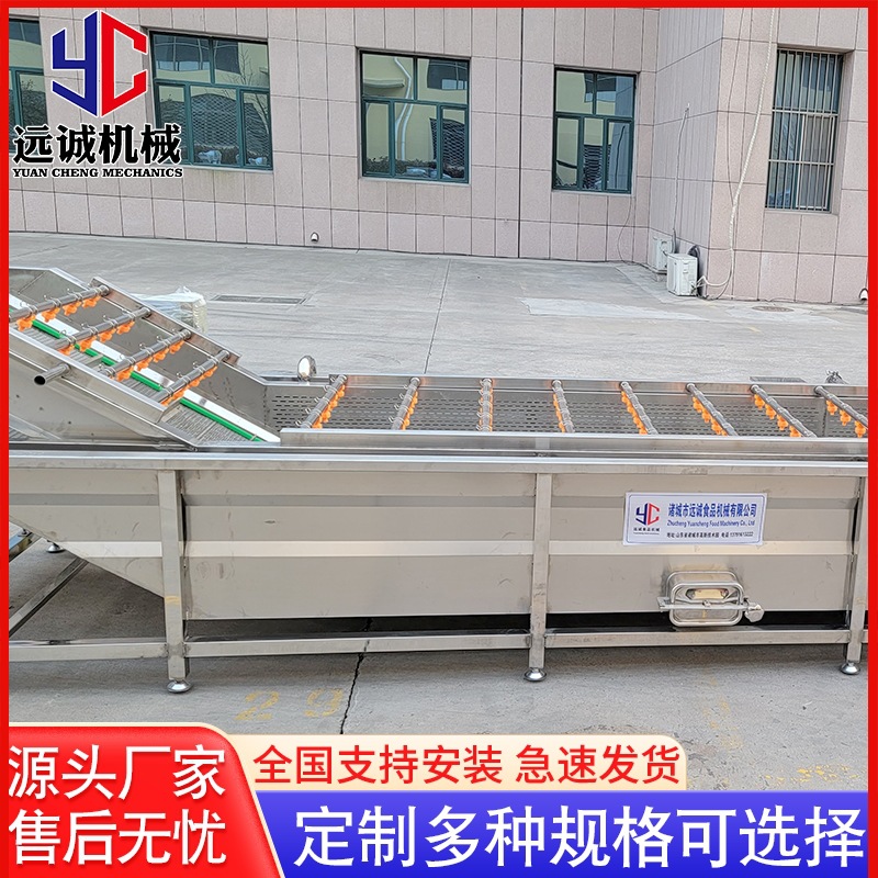 供应莴笋果蔬清洗机 不锈钢气泡清洗机 全自动冲浪式清洗机设备