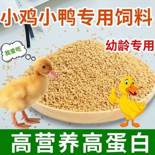 С�u���д��u����ϸߠI�Bʳ���r�ϲ��B�Z�����_�ڴ�C���l�羳