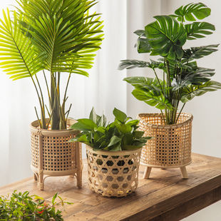 �����b��پ����@����������ʽ�͏d�̨���������[��ֲ��ܴ�؛