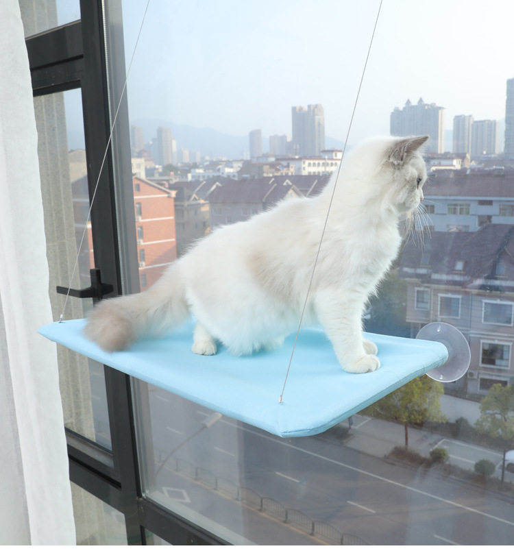 猫吊床_15