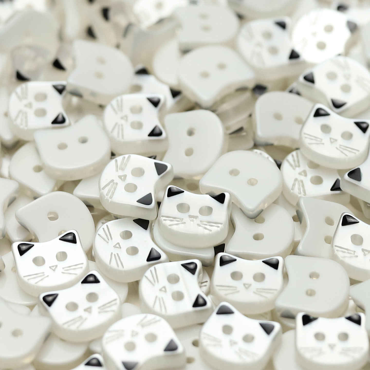 1 # [고양이 모조 쉘 블랙]