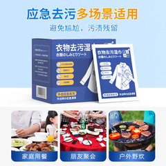 Clothing Stain Remover Wipes, Laundry-Free Wipes, Oil and Stain Removal Special Tool, Emergency Portable 15 Sheets Individually Packaged