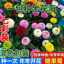 Nһ_ƷǹƹһN߲ͥԺױƹҾշNZ