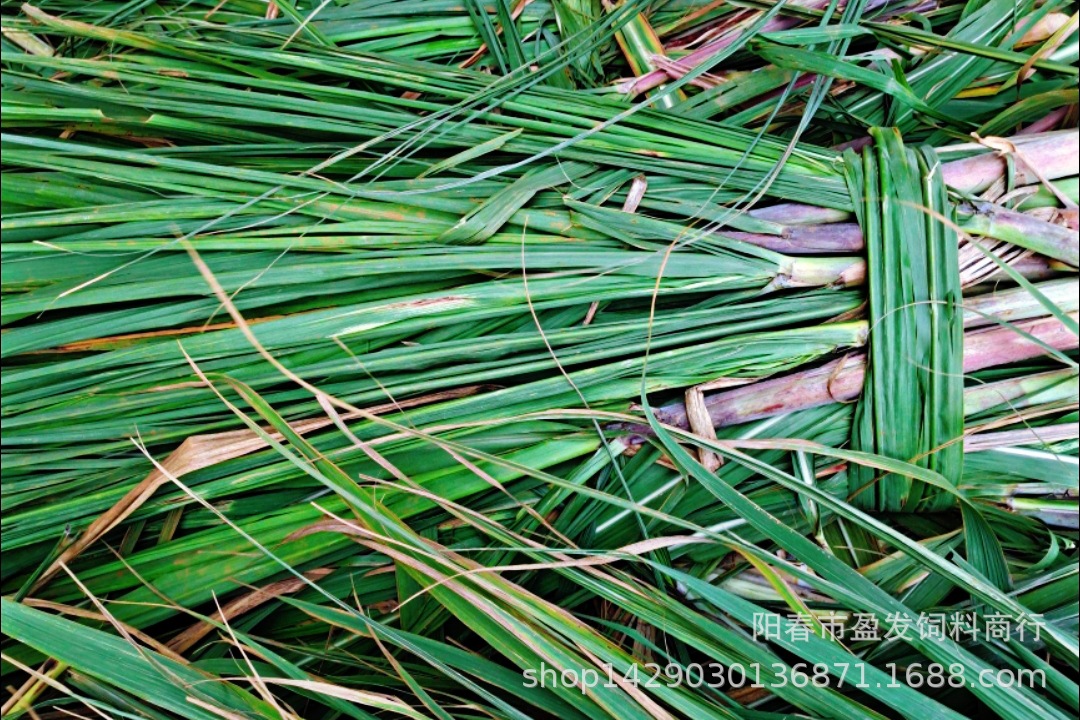 Screenshot_20211126_075816_mh1