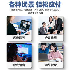 電腦usb電容會議麥克風套裝全指向拾音5米桌面界面話筒Type-c接口