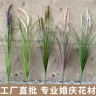 ���W��Ȼϵ���������[�� �JȔ�� ��β��Ī�λ��@�L����ֲ���쾰